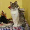 Отзыв от Зоя Соболева